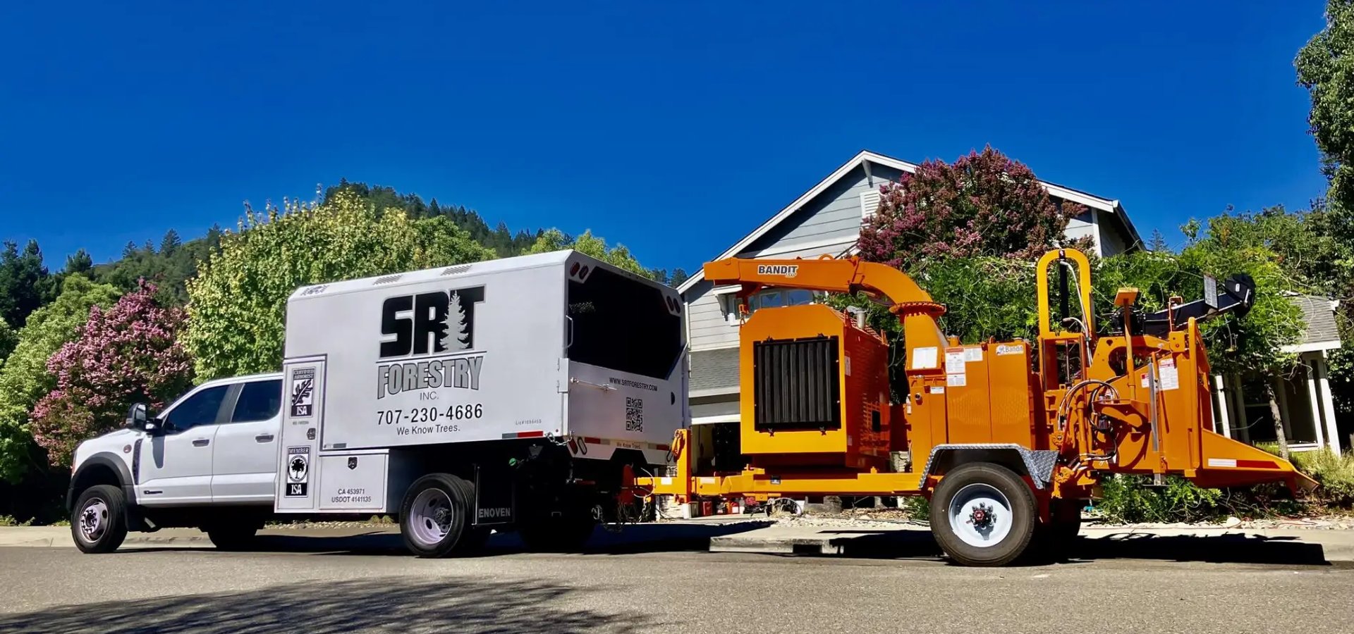 Tree service in Rohnert Park CA by SRT Forestry