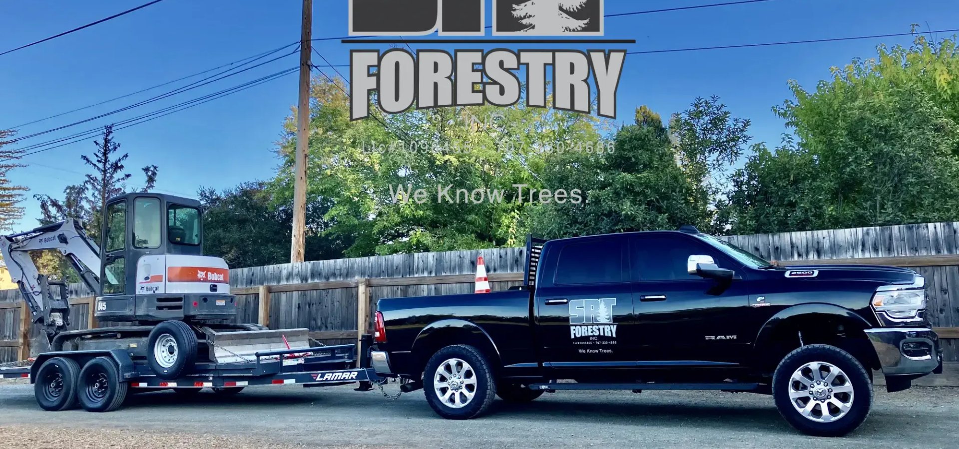 Commercial tree service in Santa Rosa CA