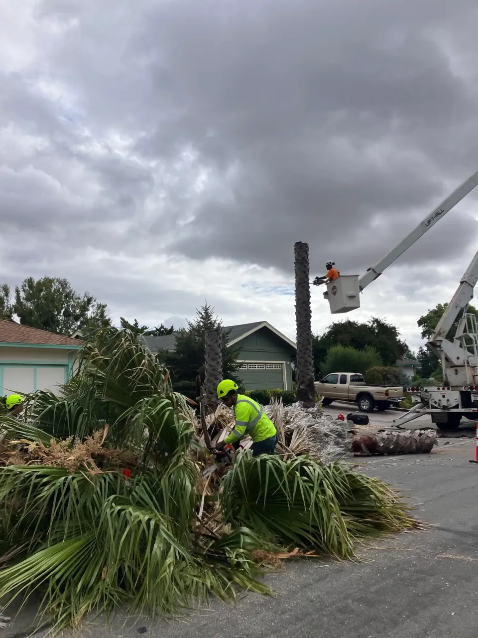 Tree-work equipment beside a landscaped property