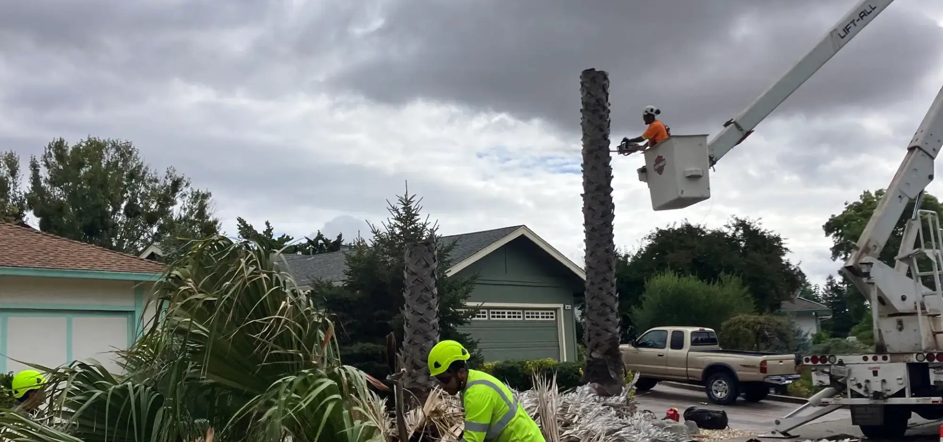 Emergency tree removal service in Sonoma County