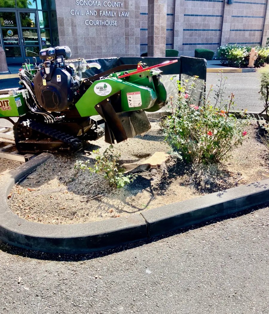 SRT Forestry equipment used for tree root removal in Sonoma County