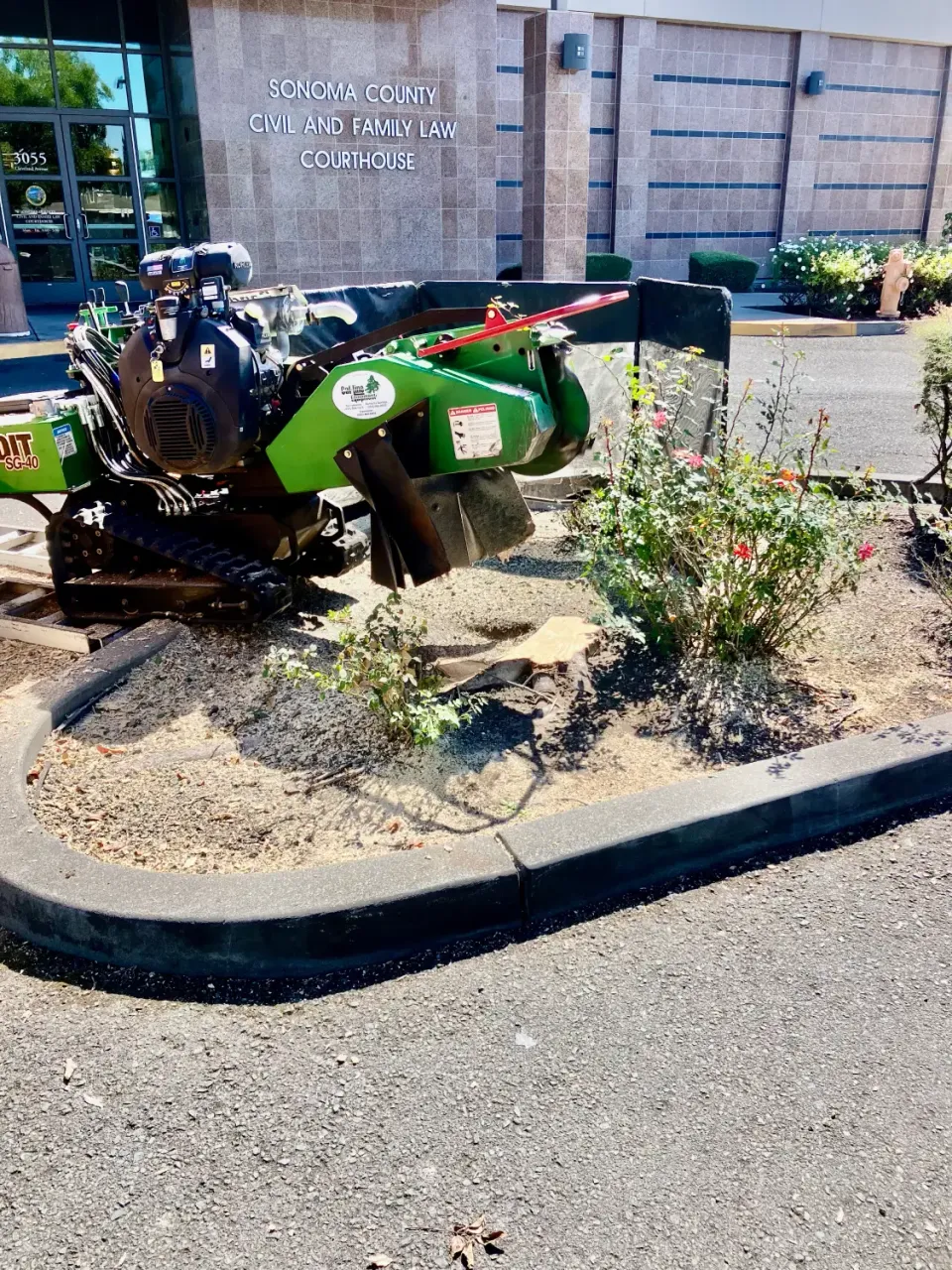 Compact stump grinder beside a garden bed