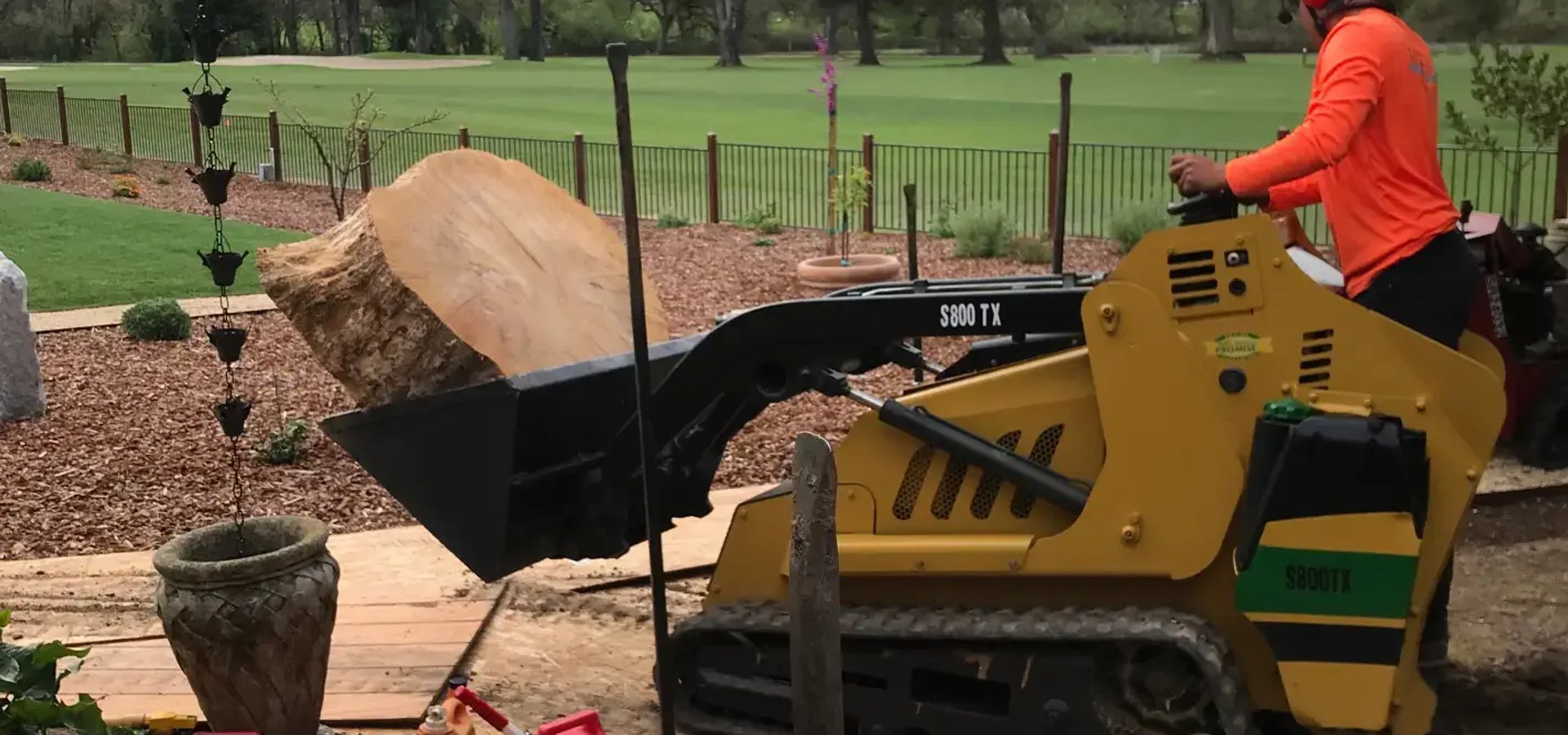 Tree root removal service in Santa Rosa CA