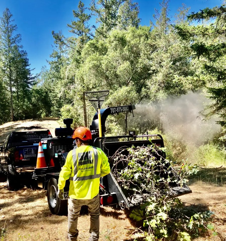 Tree work in Windsor California by SRT Forestry