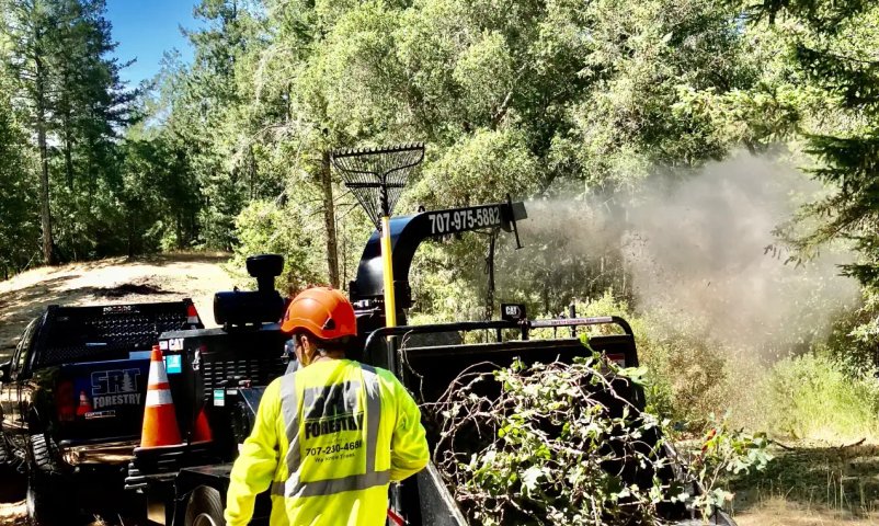 Defensible space clearing and fire prevention service