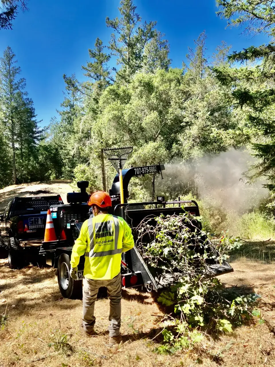 Crew processing branches beside a wood chipper