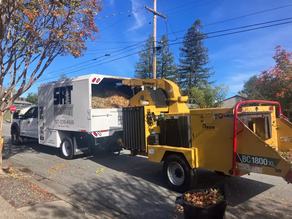 SRT Forestry truck and chipper