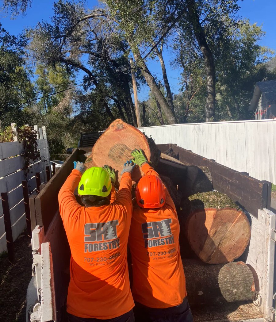 SRT Forestry clearing defensible space around a Santa Rosa property