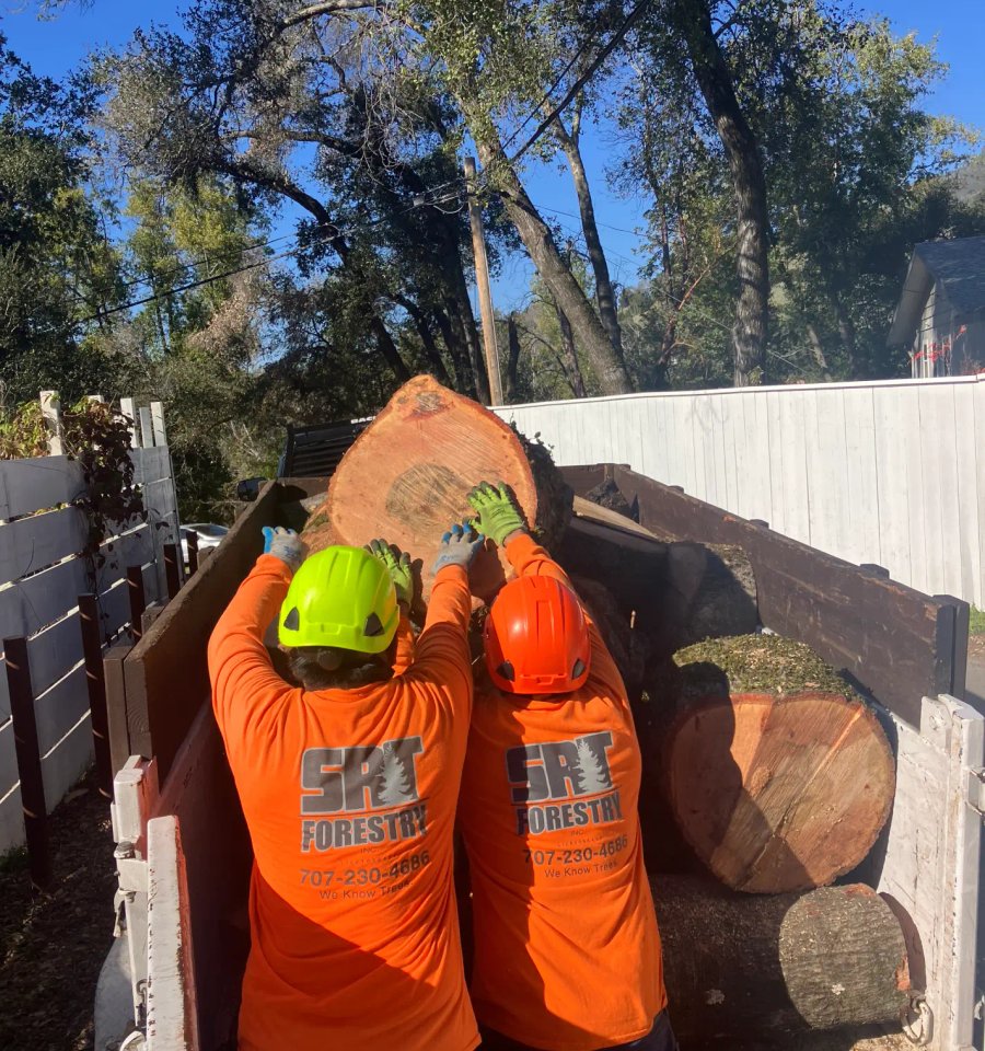 SRT Forestry tree crew serving Cloverdale California