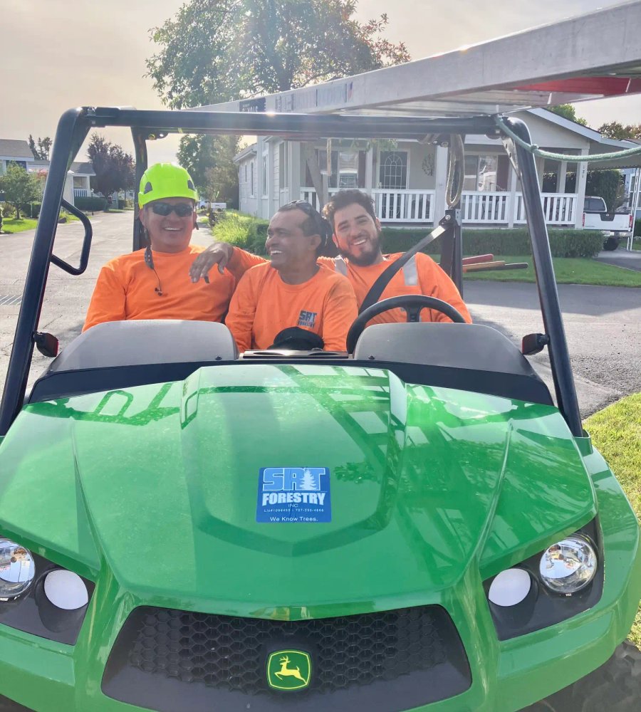 Tree service crew ready to help homeowners in Sonoma County and nearby North Bay areas