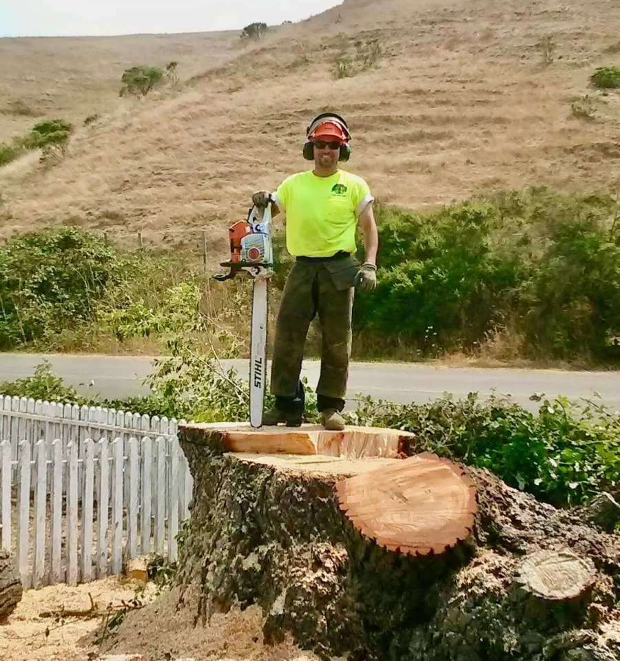 SRT Forestry climber performing line clearing work in Sonoma County