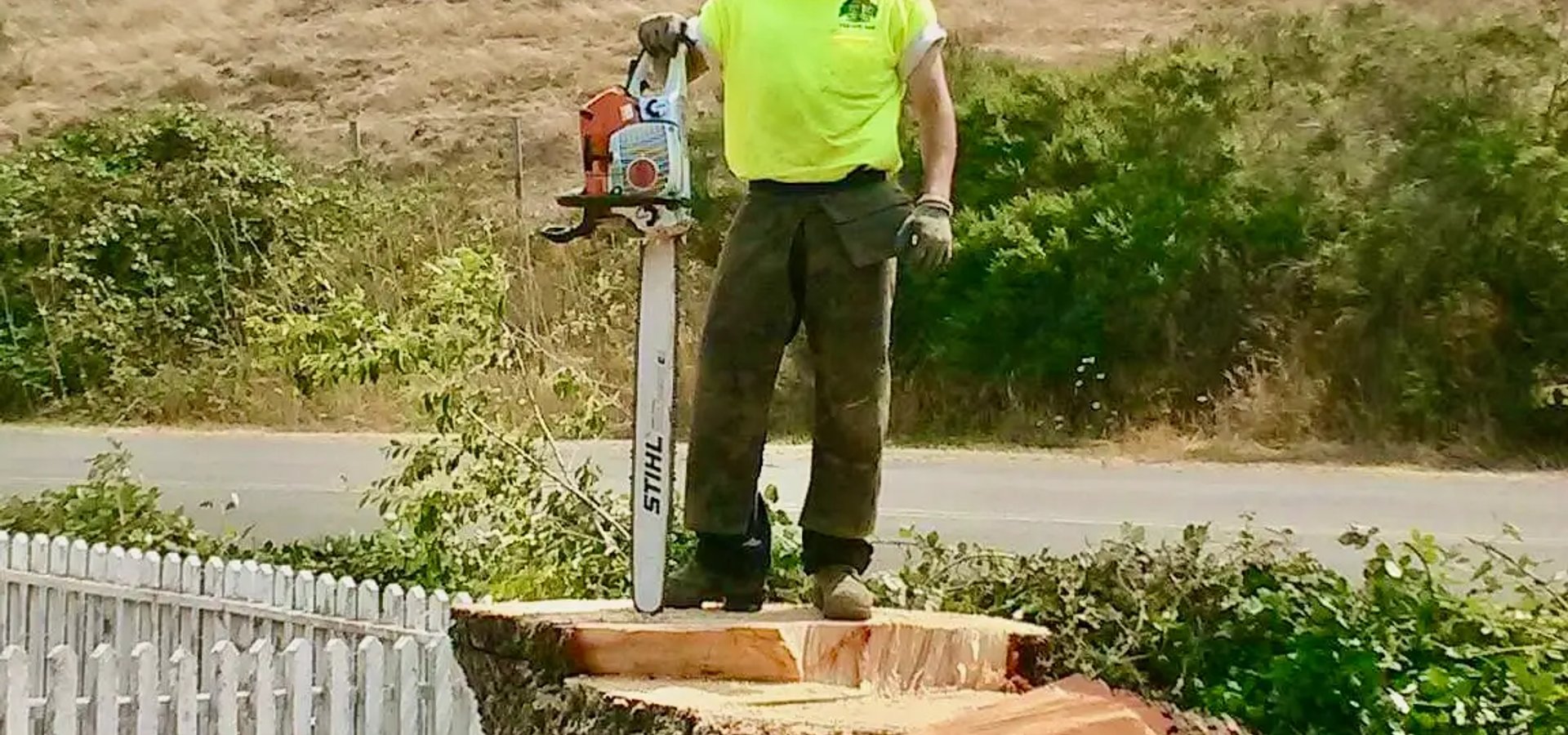Site evaluation for trees and vegetation in Santa Rosa CA