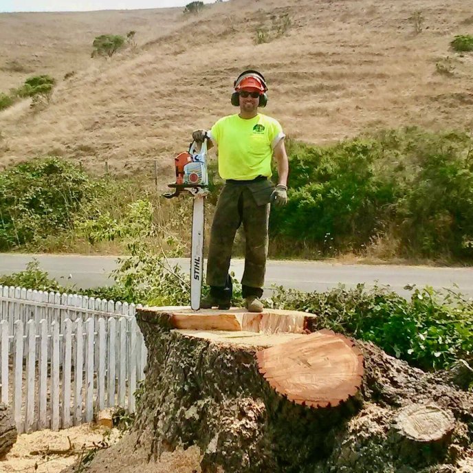 Large stump removal project