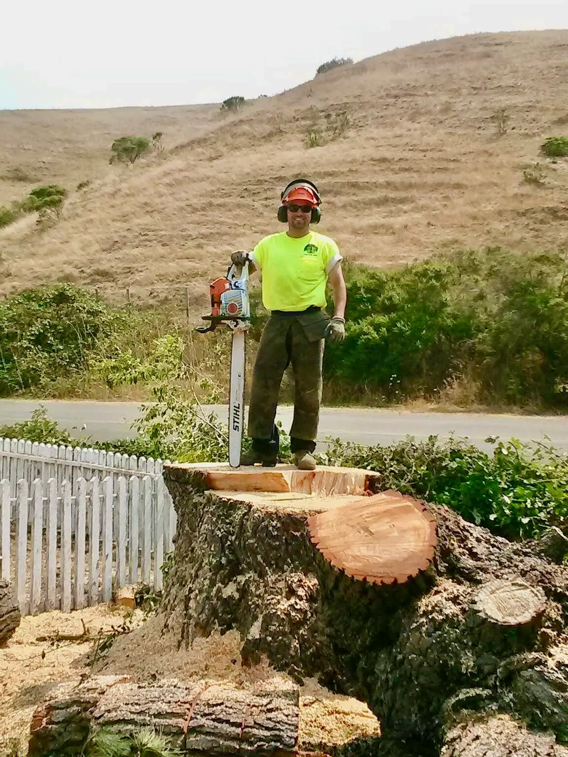 Large stump removal project