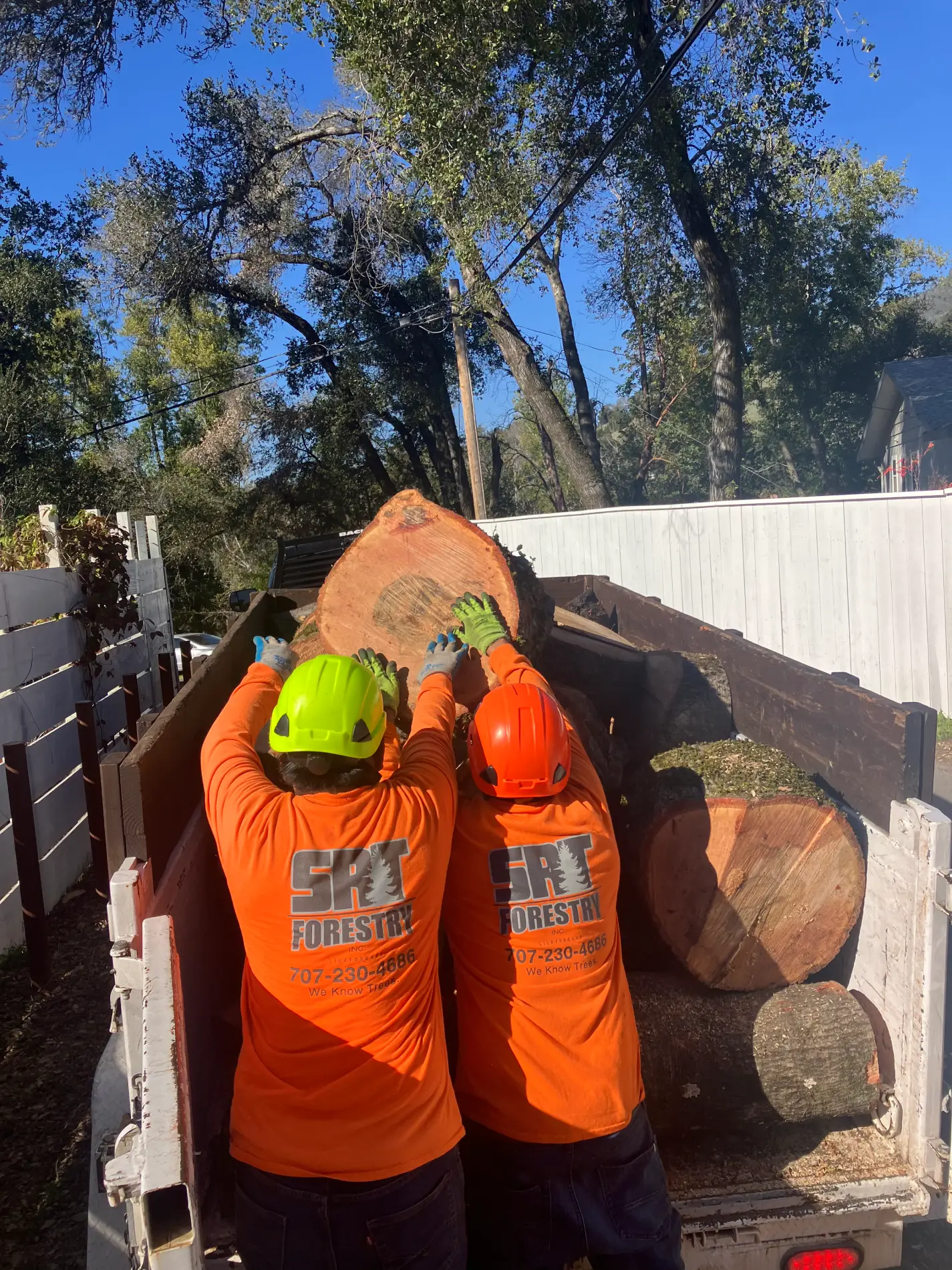 Large tree sections safely hauled away